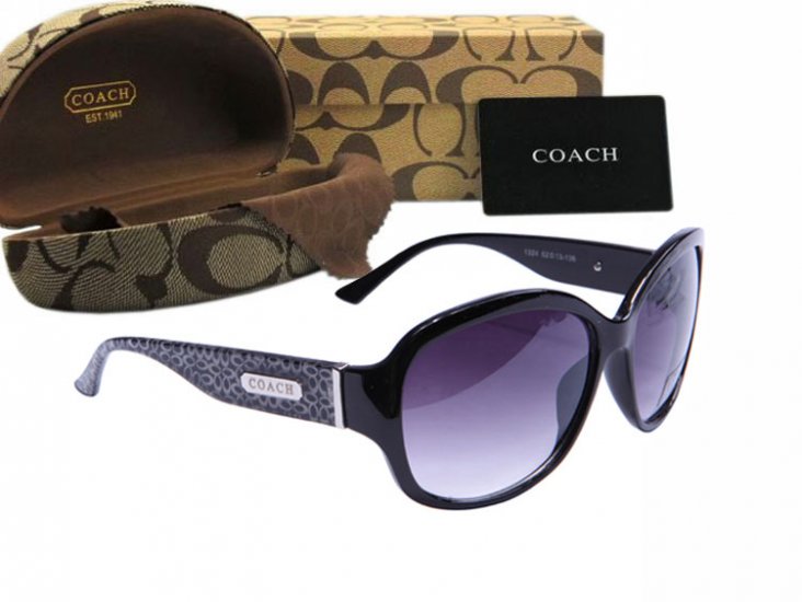 Coach Sunglasses 8021 | Women